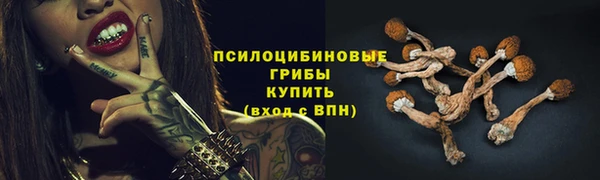 шишки Балахна