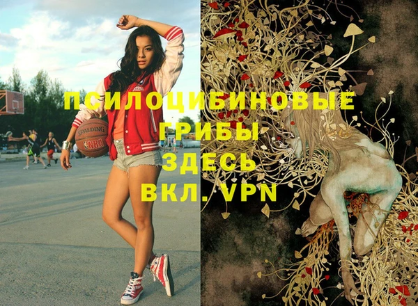 шишки Балахна