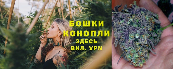 spice Баксан
