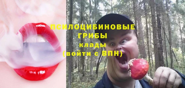 spice Баксан