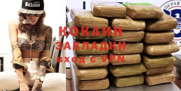 шишки Балахна