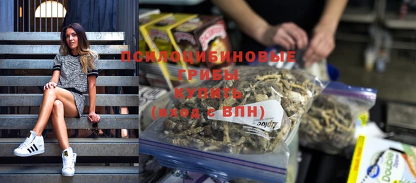 spice Баксан