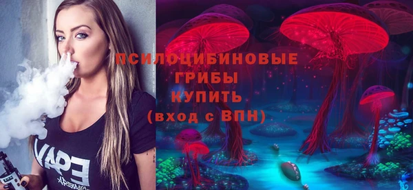 шишки Балахна